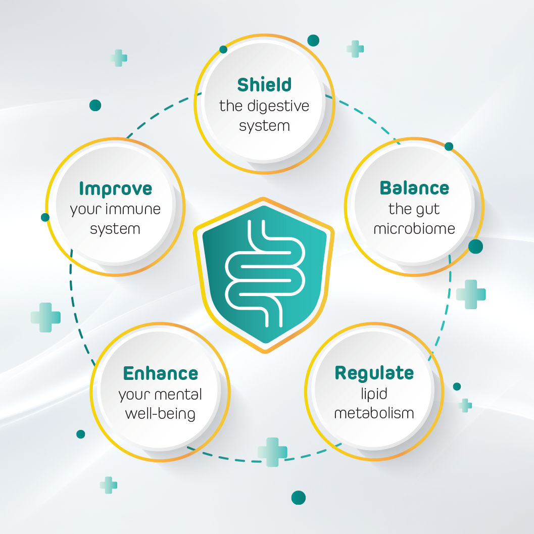 Liquid Spore Probiotic Subscription